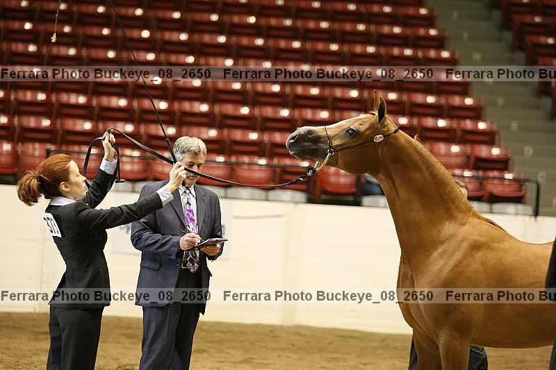Proof buckeye_08_2650