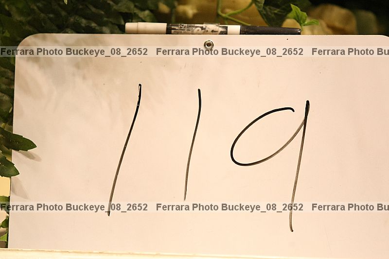 Proof buckeye_08_2652