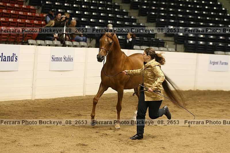 Proof buckeye_08_2653