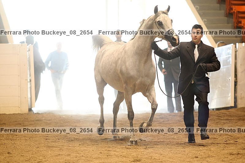 Proof buckeye_08_2654