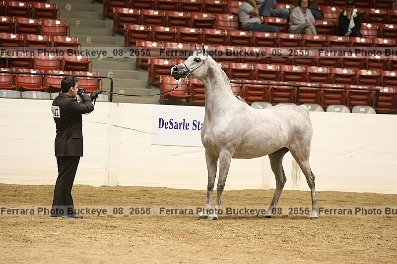 Proof buckeye_08_2656