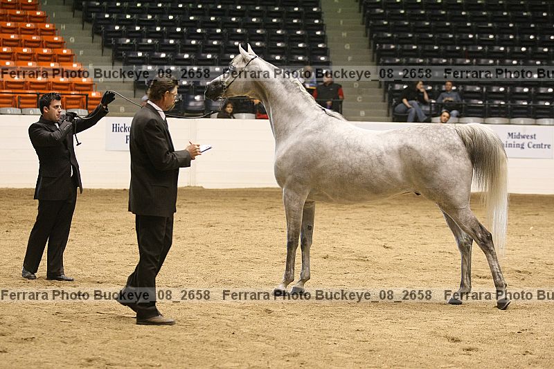 Proof buckeye_08_2658