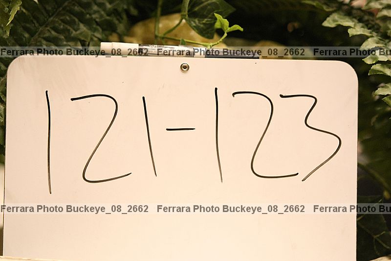 Proof buckeye_08_2662