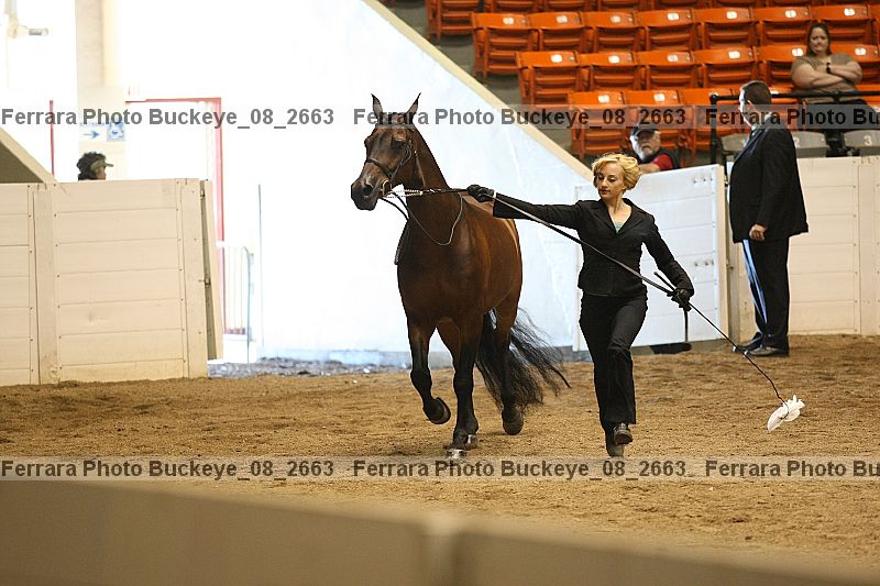 Proof buckeye_08_2663