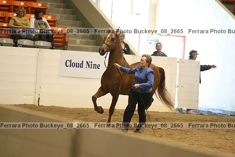 Proof buckeye_08_2665