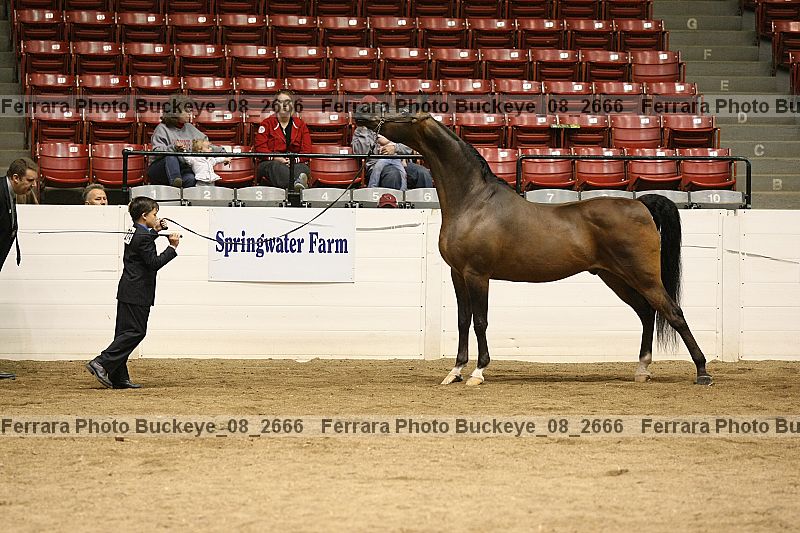Proof buckeye_08_2666