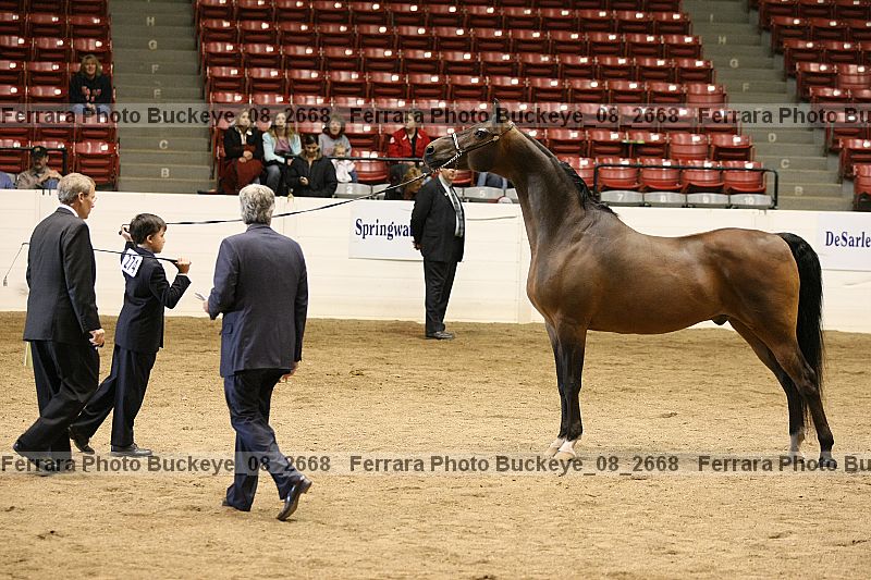 Proof buckeye_08_2668