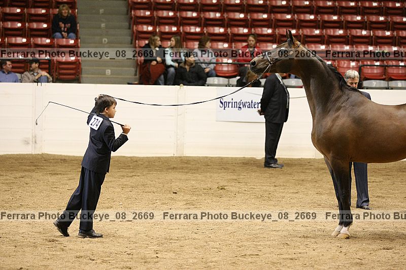 Proof buckeye_08_2669
