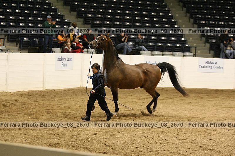 Proof buckeye_08_2670