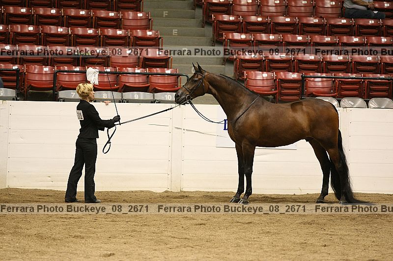Proof buckeye_08_2671