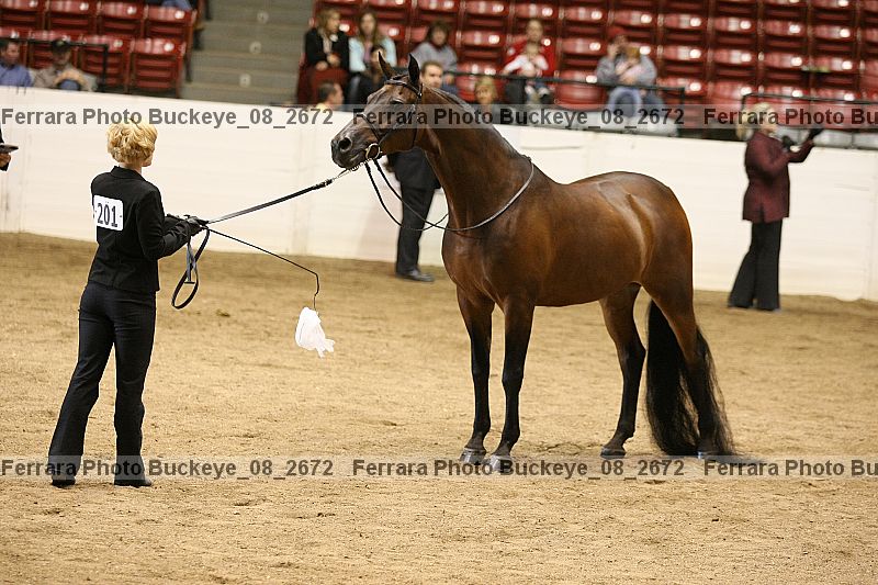 Proof buckeye_08_2672