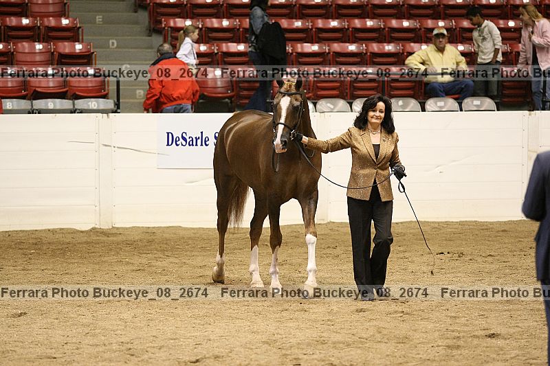 Proof buckeye_08_2674