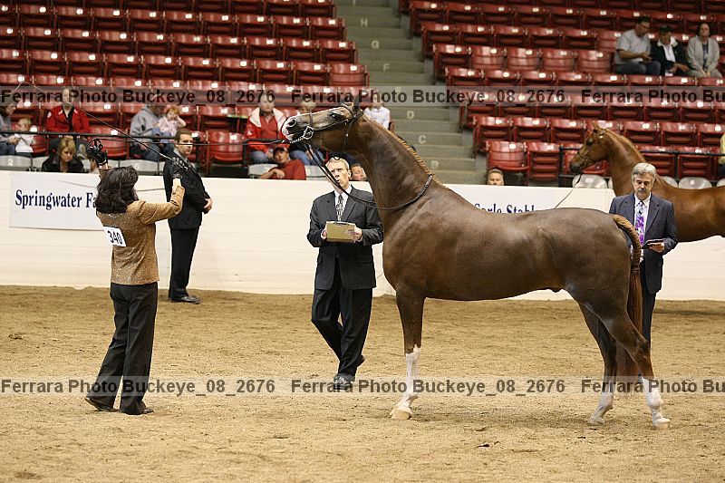 Proof buckeye_08_2676