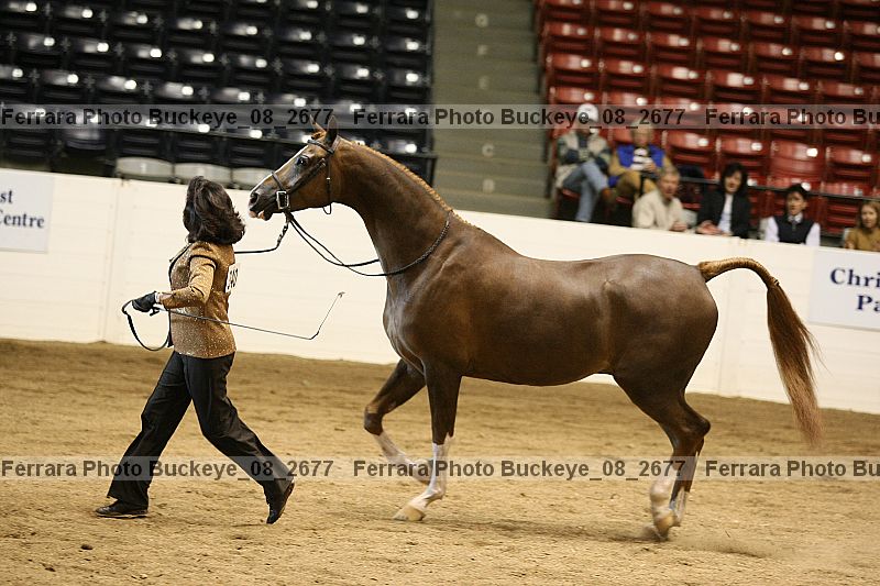 Proof buckeye_08_2677