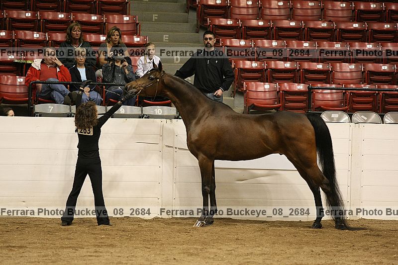 Proof buckeye_08_2684