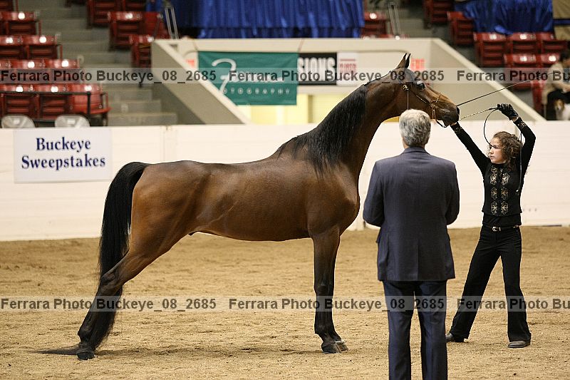 Proof buckeye_08_2685