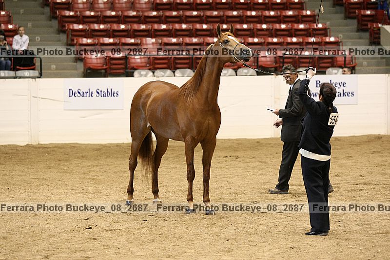 Proof buckeye_08_2687