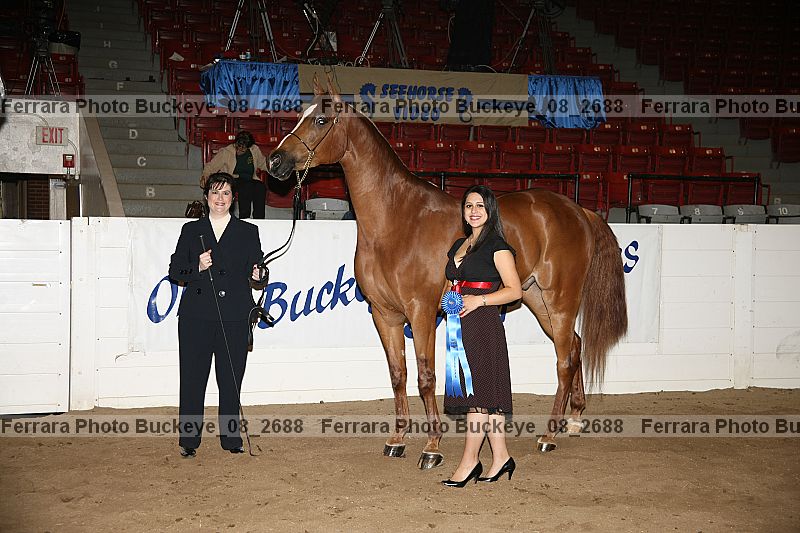 Proof buckeye_08_2688