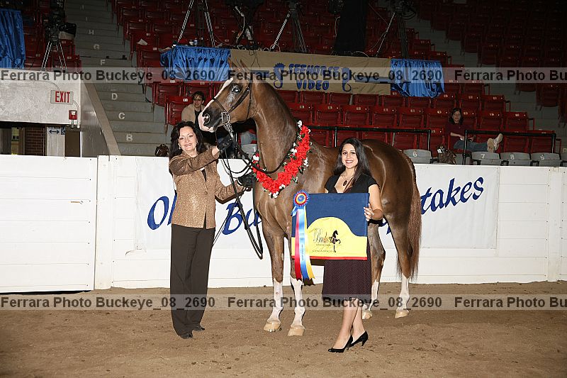 Proof buckeye_08_2690