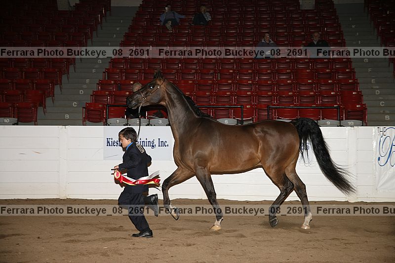 Proof buckeye_08_2691