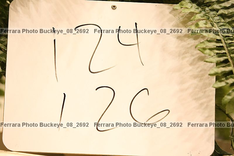 Proof buckeye_08_2692