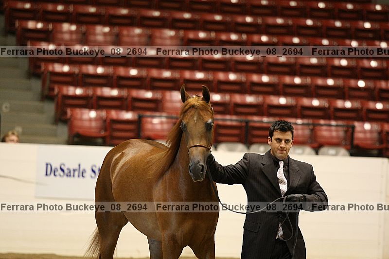 Proof buckeye_08_2694