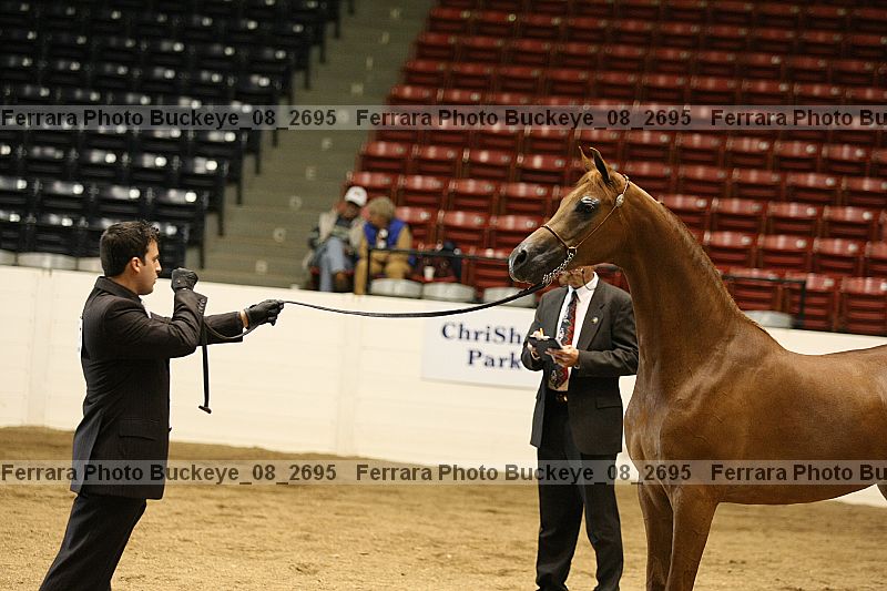 Proof buckeye_08_2695
