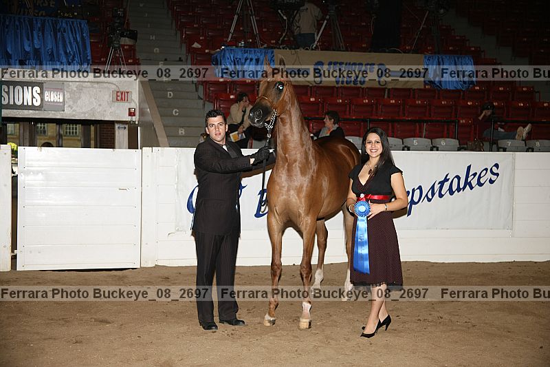 Proof buckeye_08_2697