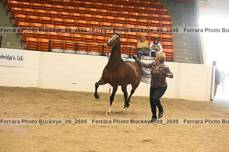 Proof buckeye_08_2698