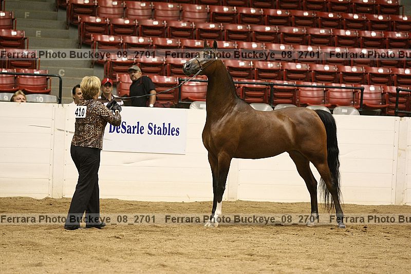 Proof buckeye_08_2701