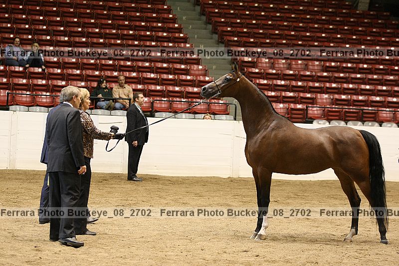 Proof buckeye_08_2702