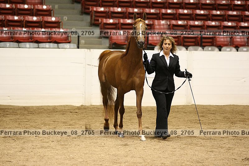 Proof buckeye_08_2705