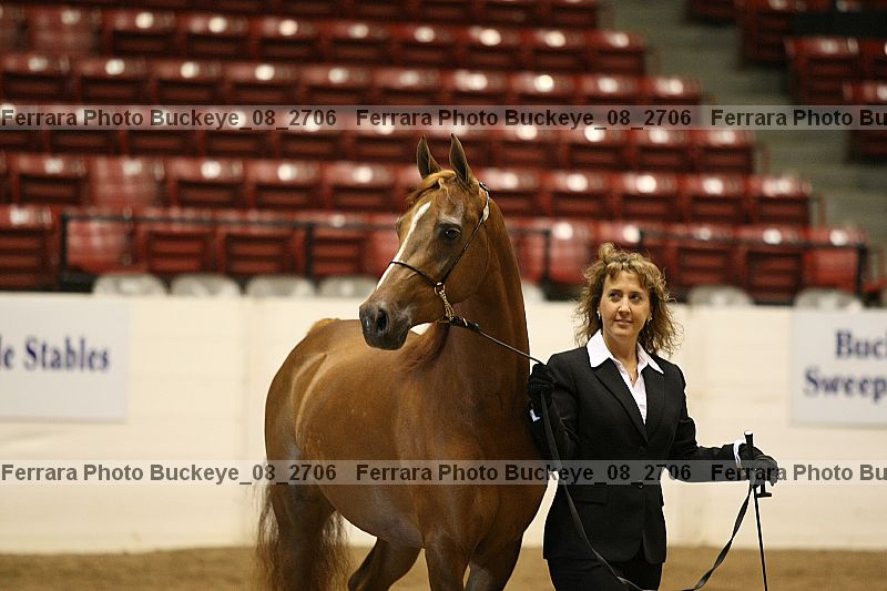 Proof buckeye_08_2706