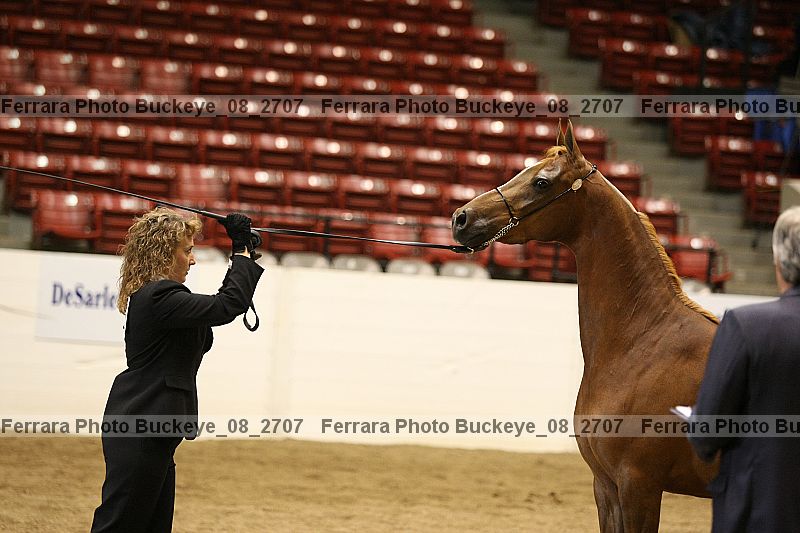 Proof buckeye_08_2707