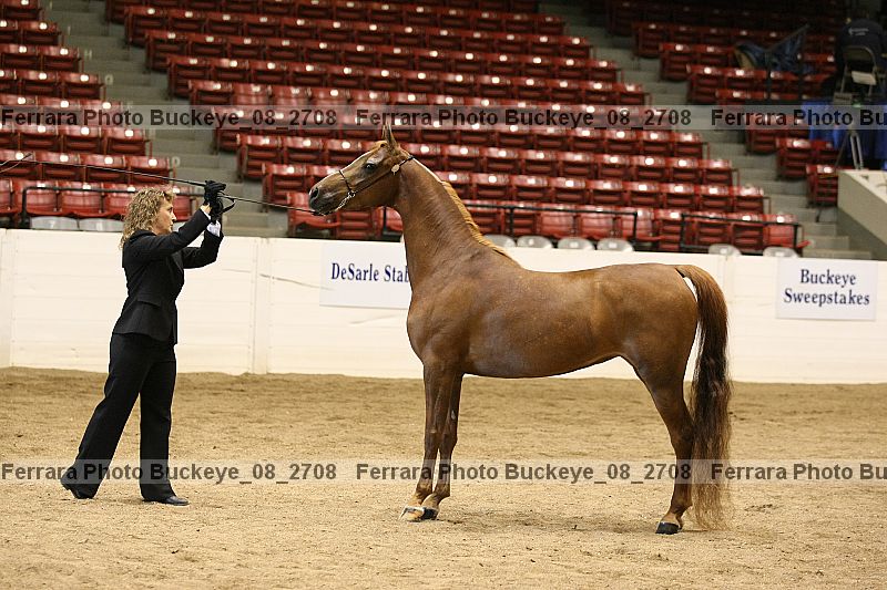 Proof buckeye_08_2708