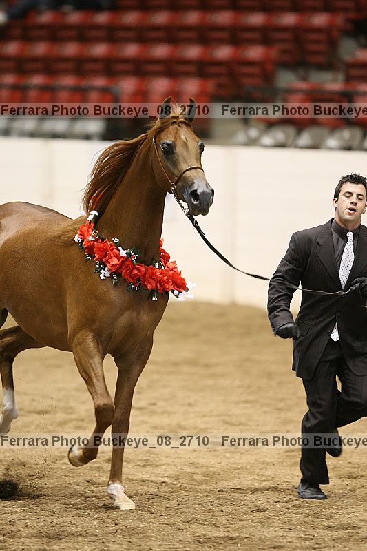 Proof buckeye_08_2710