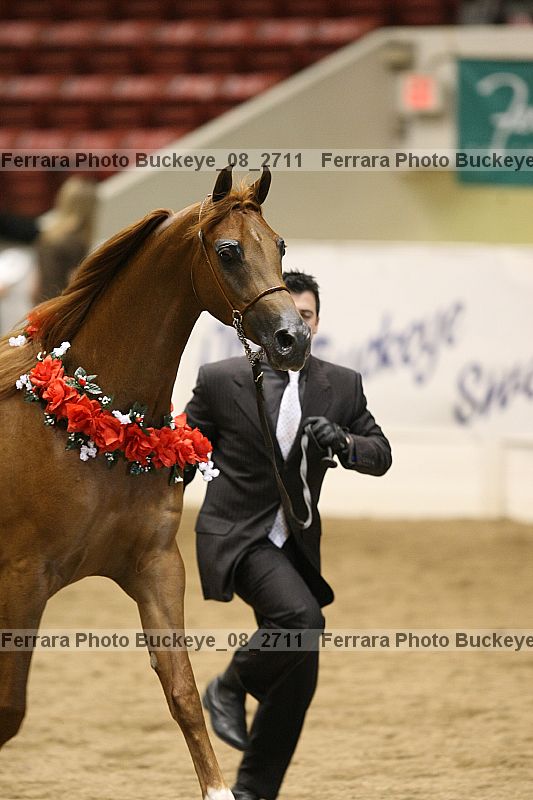 Proof buckeye_08_2711