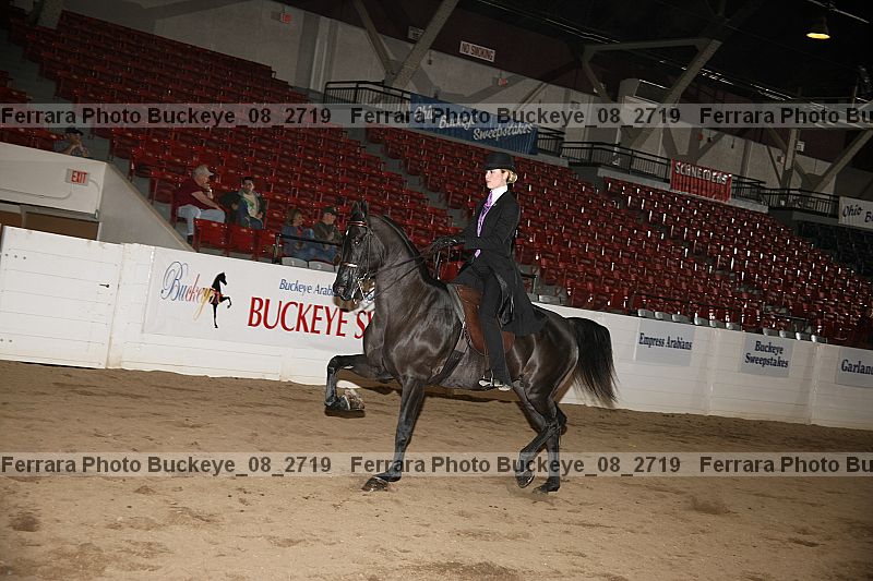 Proof buckeye_08_2719