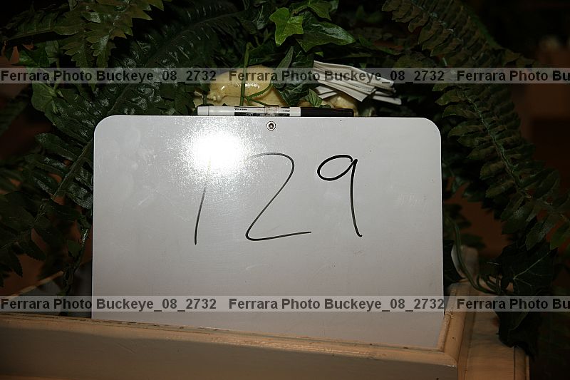 Proof buckeye_08_2732