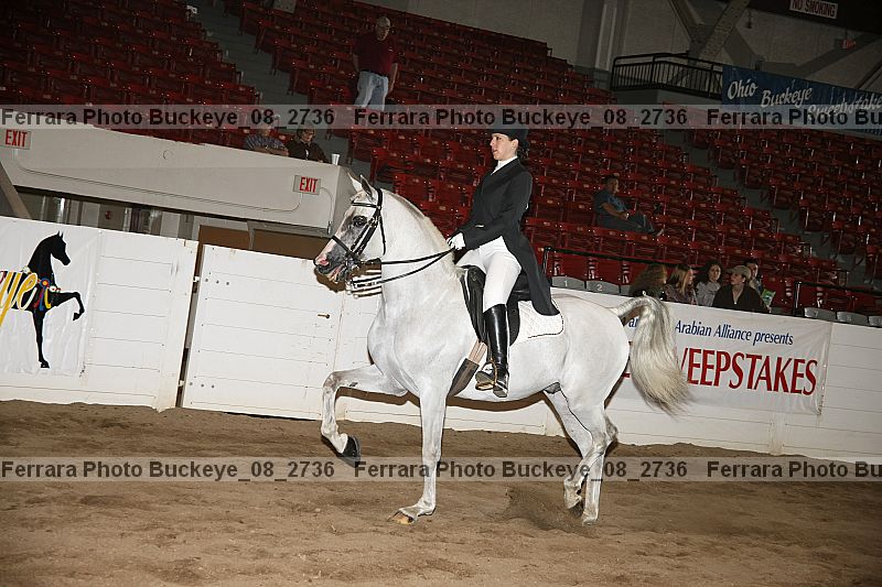 Proof buckeye_08_2736