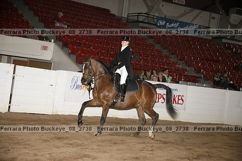 Proof buckeye_08_2738
