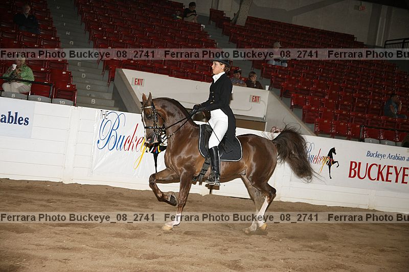 Proof buckeye_08_2741