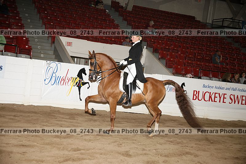 Proof buckeye_08_2743