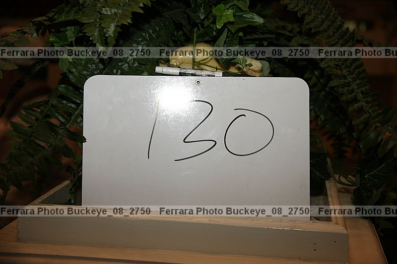 Proof buckeye_08_2750
