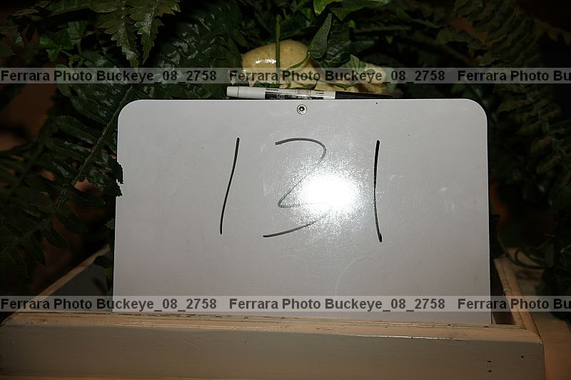 Proof buckeye_08_2758