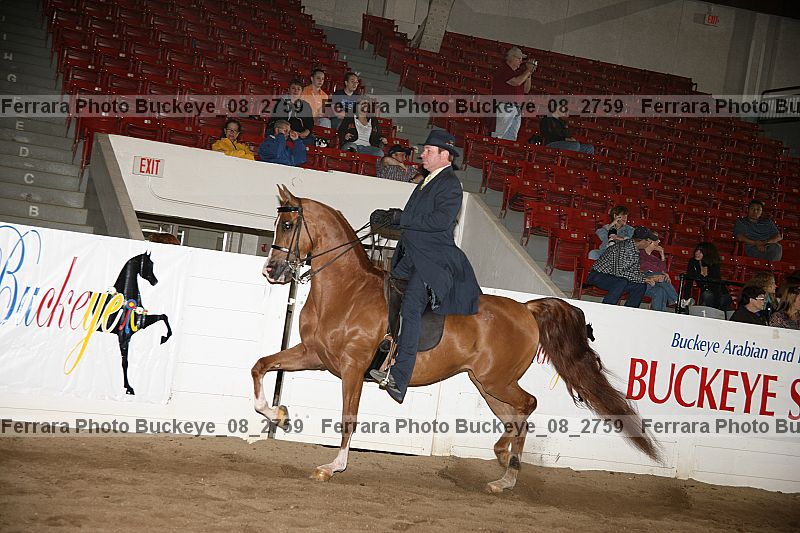 Proof buckeye_08_2759
