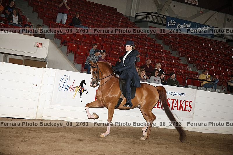 Proof buckeye_08_2763