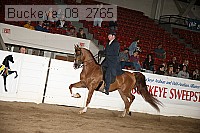 buckeye_08_2765 proof