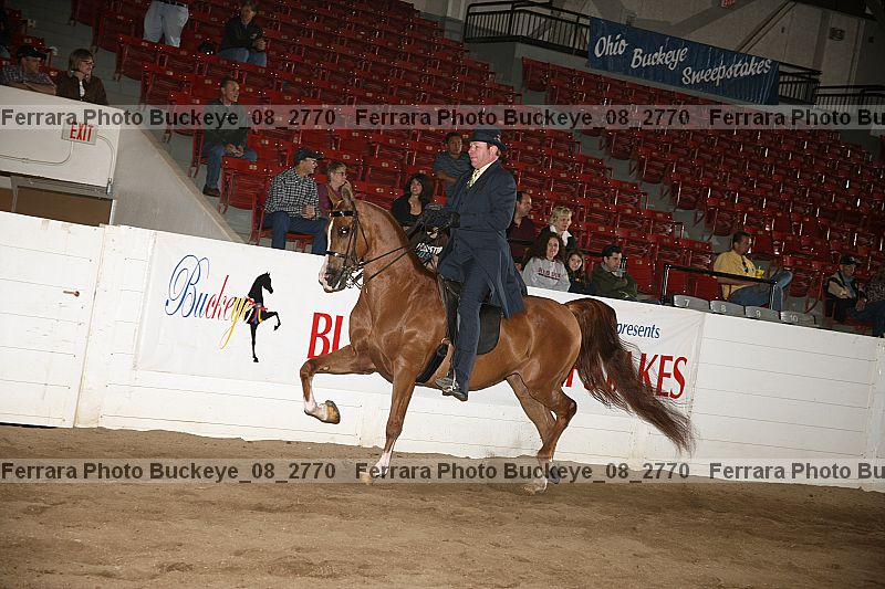 Proof buckeye_08_2770