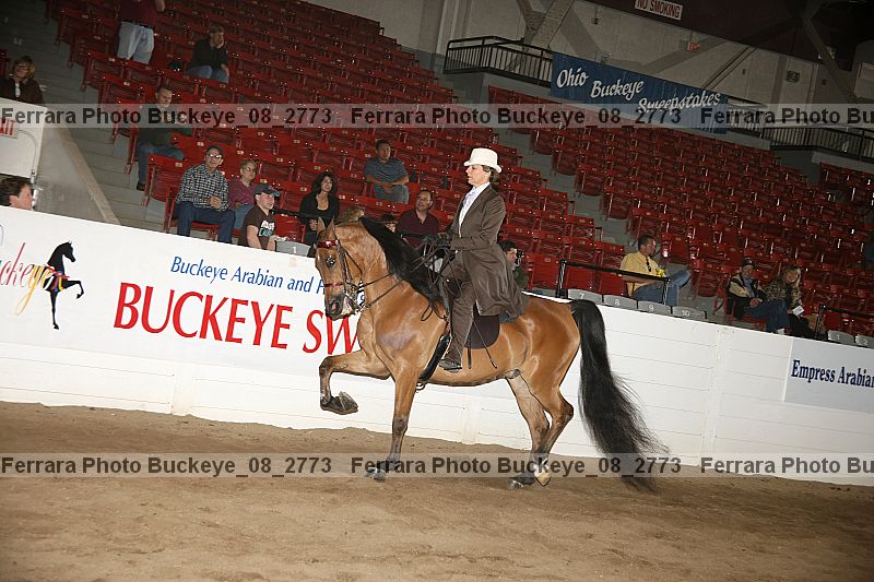 Proof buckeye_08_2773